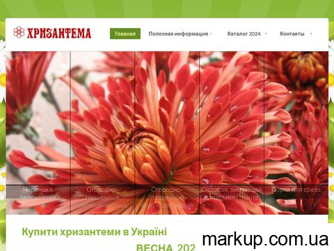 hrizantema.com.ua